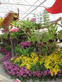 IMG_4022