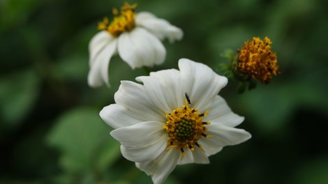2010-2-8 147.JPG