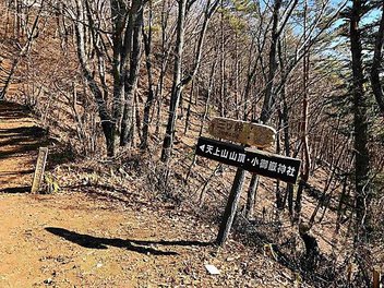 河口湖_天上山公園6.jpg