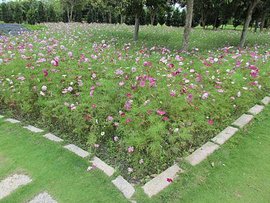 IMG_3200.JPG