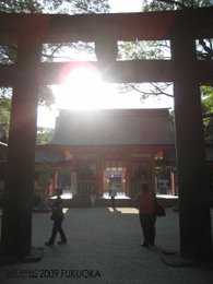 住吉神社曙光