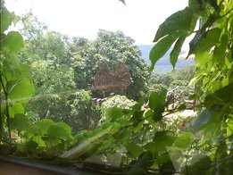 DSC06885.JPG