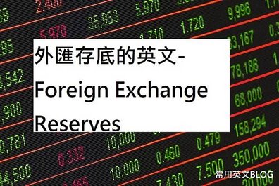 外匯存底的英文-Foreign Exchange Reserves