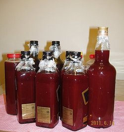 2011.6.14酵素2.jpg