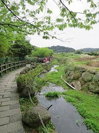 IMG_8311.jpg