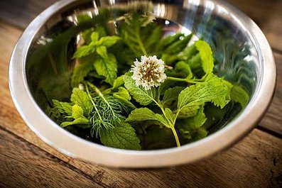 lemon_balm_bowl.jpg