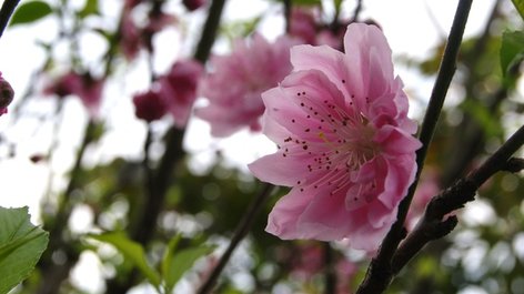 2010-2-8 169.JPG