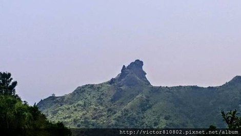 IMAG0722.jpg