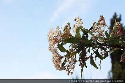 IMG_7055.jpg