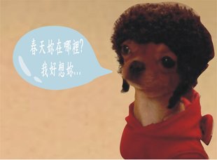 圖形1.jpg