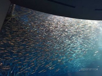 圖片51.jpg