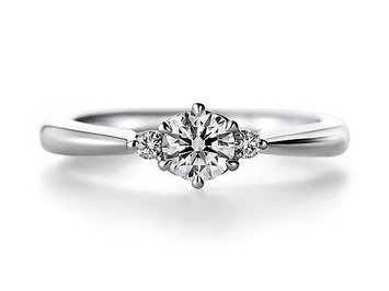 ring_000501_p_main