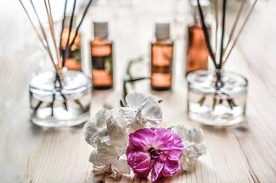 scent-1431053_960_720(1).jpg