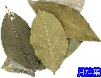 月桂葉(001).png