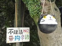 DSC03339.JPG