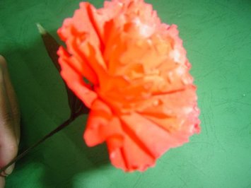 tn_980508 009.jpg
