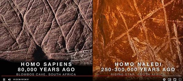 納萊迪人Homo naledi已經滅絕的人科物種「埋葬遺體」