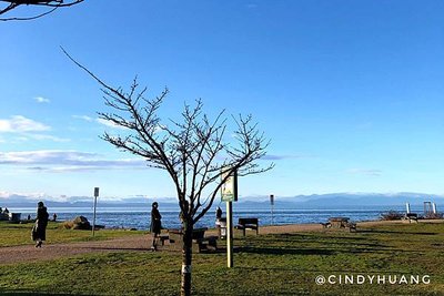 加拿大旅遊｜溫哥華市區景點懶人包，煤氣鎮、伊莉莎白女王公園等