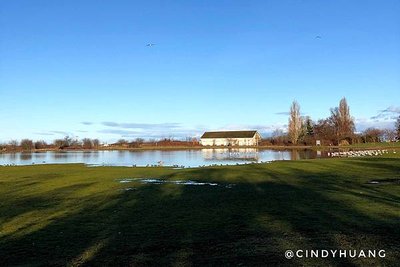 加拿大旅遊｜溫哥華市區景點懶人包，煤氣鎮、伊莉莎白女王公園等