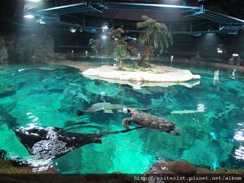 IMG_1113.JPG