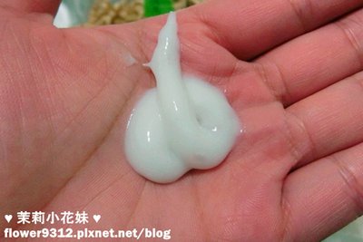 HOLIKA HOLIKA Biotin受損修護美髮系列  (1).JPG