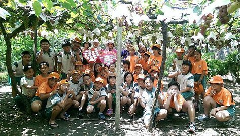 2015.6.30夏日葡萄園之戀