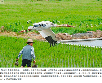 螢幕快照 2015-04-24 下午10.08.07.png