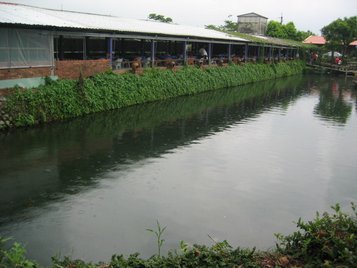IMG_3986.JPG
