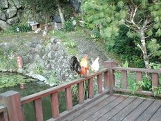2015-08-03-13-40-49_deco
