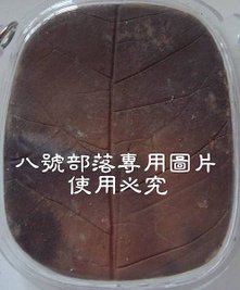 傳DSC06325.JPG