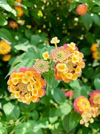 LINE_ALBUM_雯用圖_221108_6.jpg