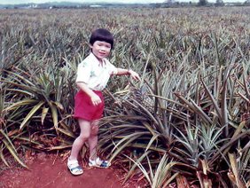 Dole Plantation, Oahu July 86.jpg
