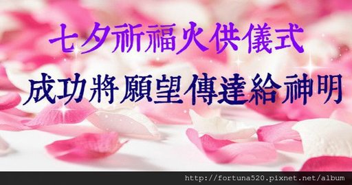 mood-flowers-roses-rose-petals-pink-red-love_副本33