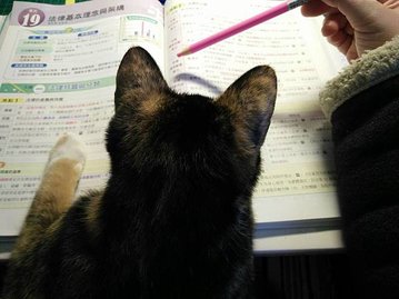 重回校園