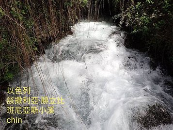 20190718_121107.jpg