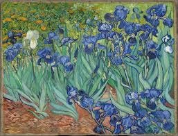 Irises.jpg