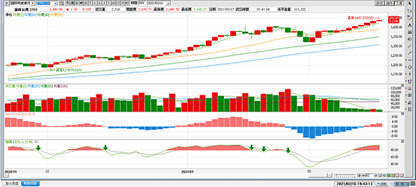 台指選擇權20210216-1