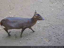 IMG_1795.JPG