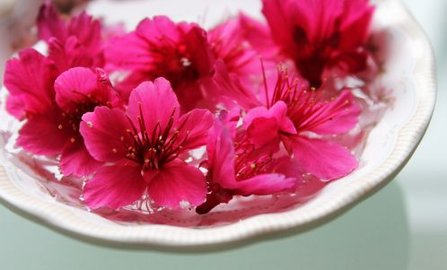 CHERRY-DISH.jpg