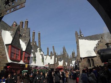 p145345380880.jpg