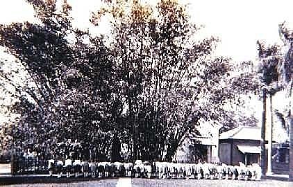 「祥瑞之兆」「瑞竹」1923年裕仁皇太子來臺-位於屏東的臺灣