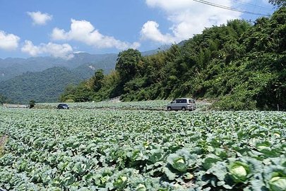 武陵農場