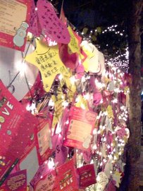 IMG0124A.jpg