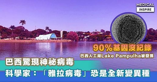 -即時新聞- (必讀) 中國多省傳出「新布尼亞病毒」疫情！6