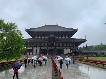 ［京都自駕遊］京都寺廟走斷腿之旅