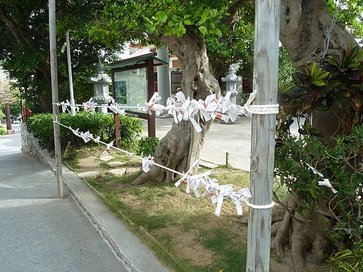 P1050232