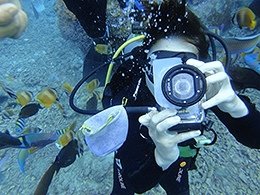 綠島潛水