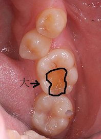 DSC_3038拷貝