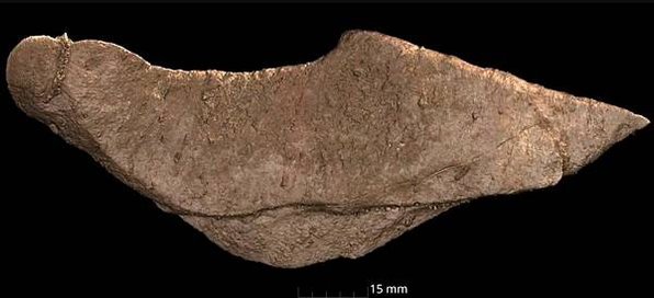 納萊迪人Homo naledi已經滅絕的人科物種「埋葬遺體」