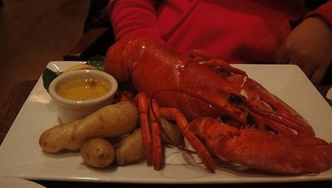 DSC08515.JPG